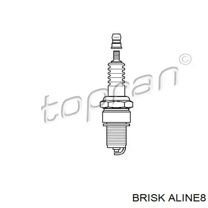 ALINE8 Brisk