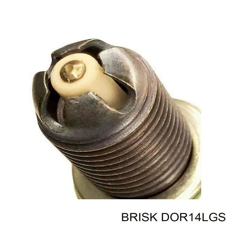DOR14LGS Brisk 