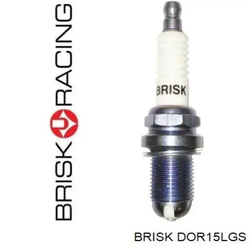  DOR15LGS Brisk