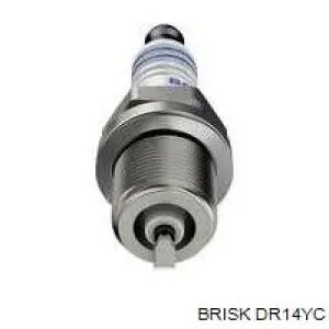 Купить DR14YC Brisk 