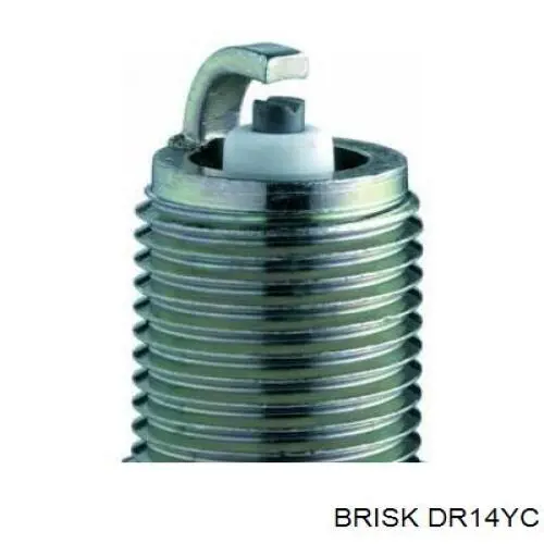  DR14YC Brisk