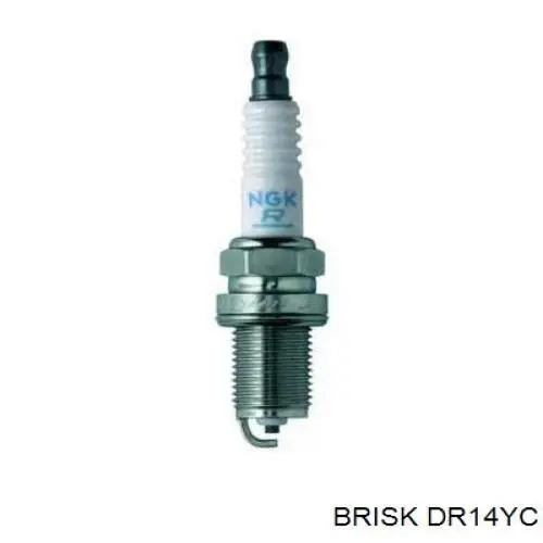 DR14YC Brisk 
