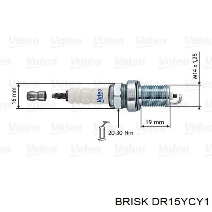 DR15YCY1 Brisk