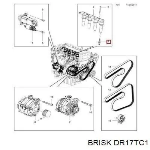 DR17TC1 Brisk vela de ignição