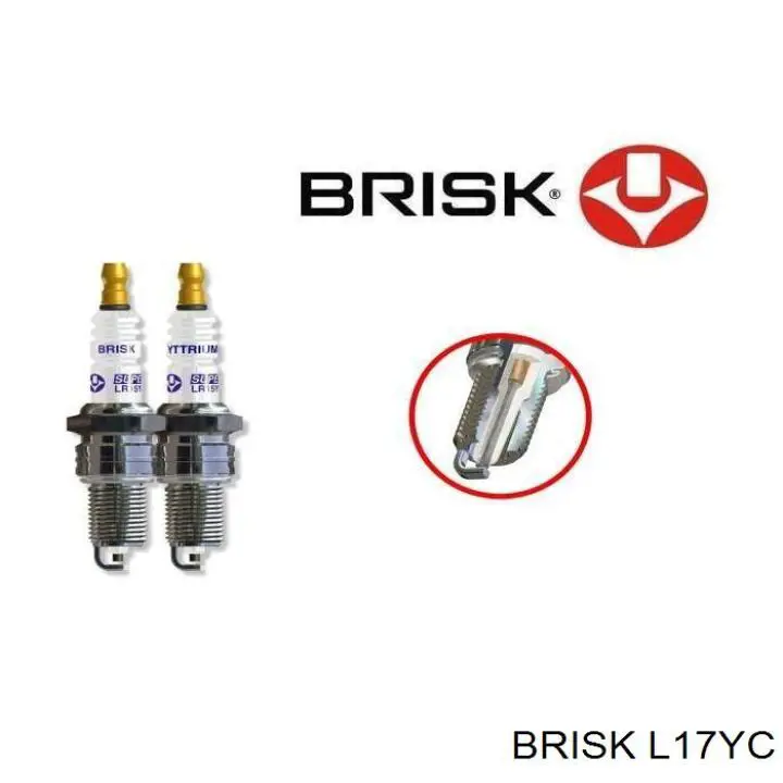  L17YC Brisk