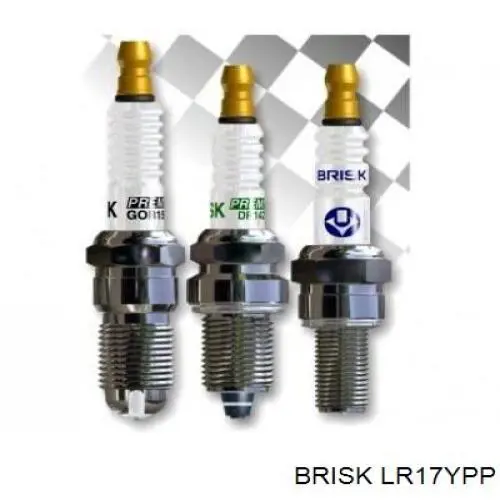 Купить LR17YPP Brisk 