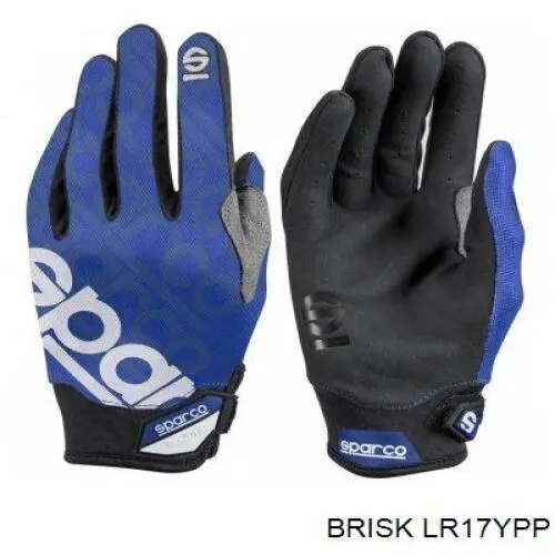 LR17YPP Brisk 
