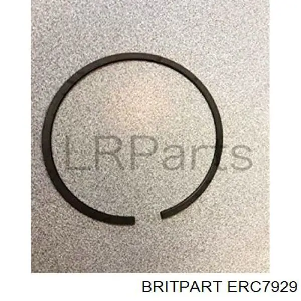 Цепь ГРМ ERC7929 Britpart