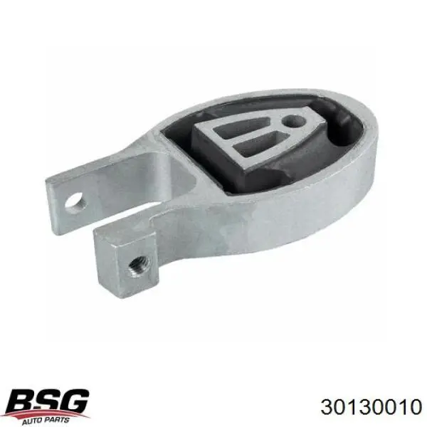 30130010 BSG топливный фильтр