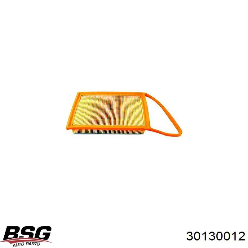 Filtro combustible 30130012 BSG