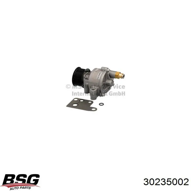 Вакуумный насос 30235002 BSG