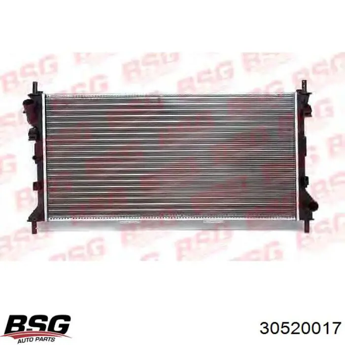 30520017 BSG radiador de esfriamento de motor