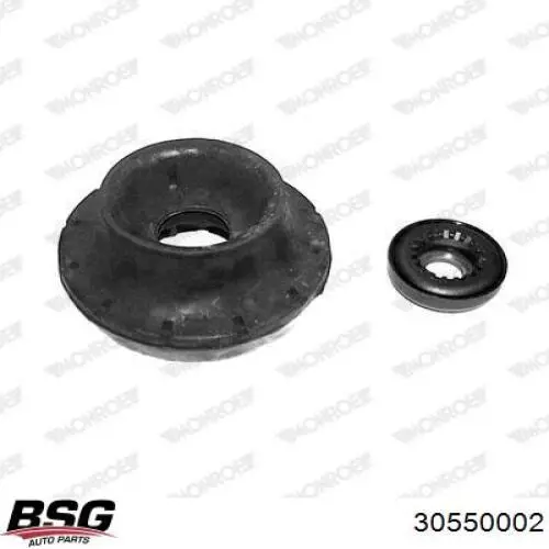 30550002 BSG tanque de expansão do sistema de esfriamento