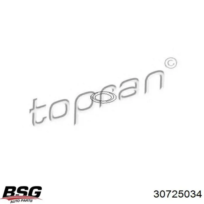 30725034 BSG Патрубок ГУР высокого давления