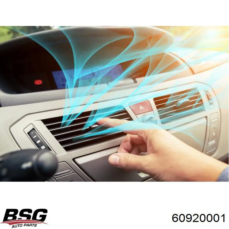Купить 60920001 BSG Бампер задний, правая часть