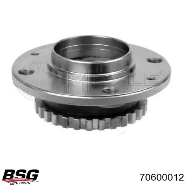 70600012 BSG