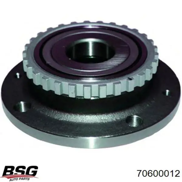 70600012 BSG Ступица задняя