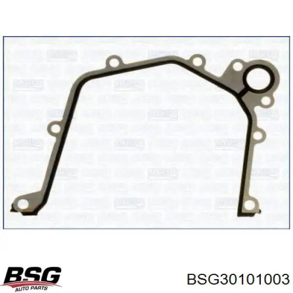 BSG30101003 BSG