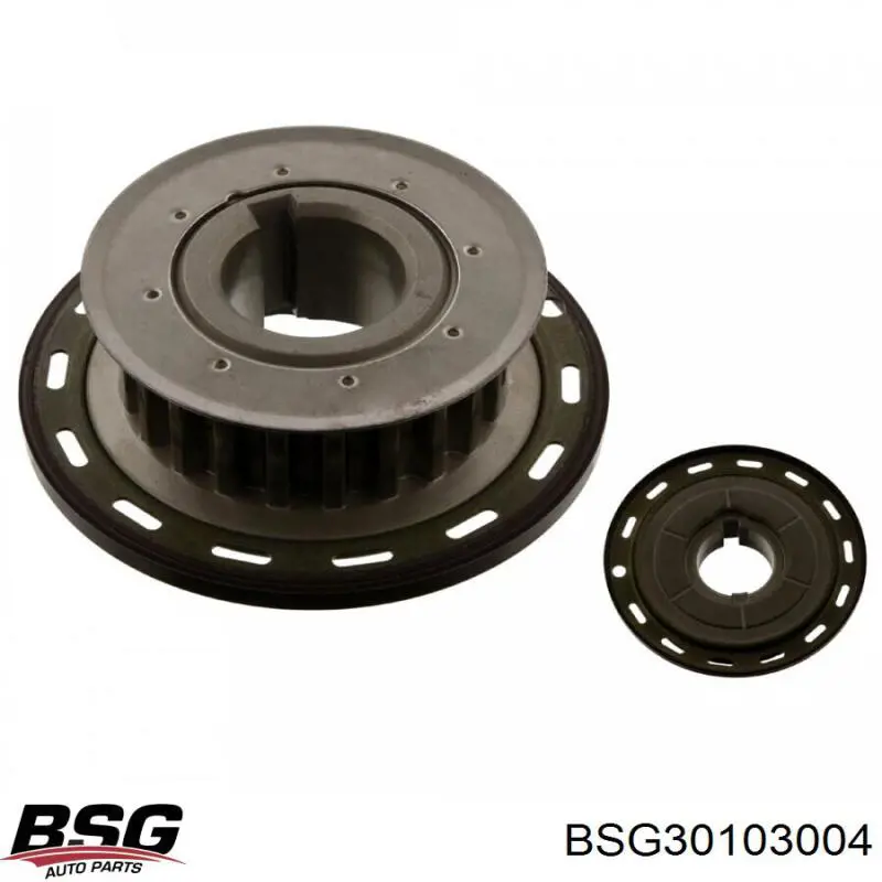 BSG30103004 BSG 