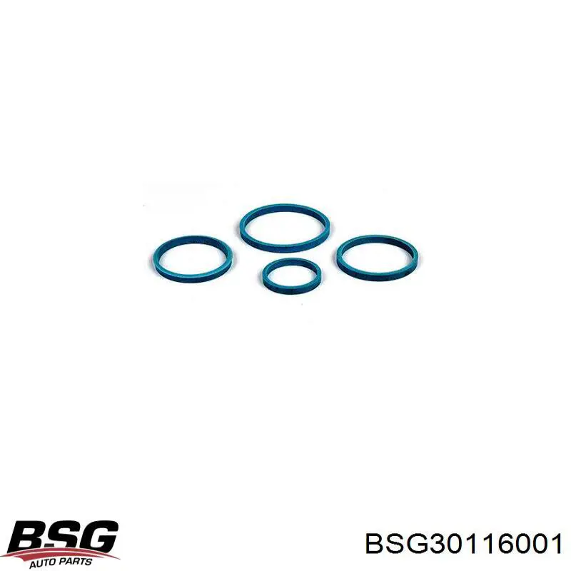 Прокладка радіатора масляного BSG30116001 BSG
