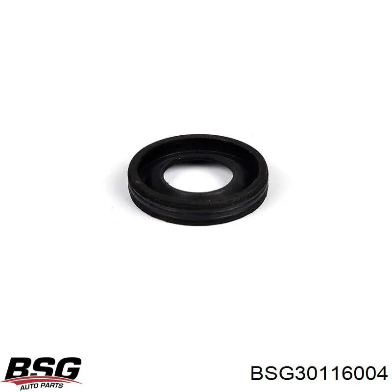 Junta anular, inyector BSG30116004 BSG