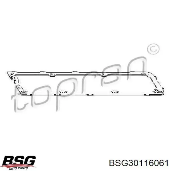 BSG30116061 BSG 