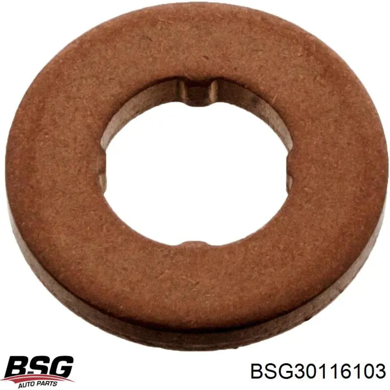 BSG30116103 BSG кольцо (шайба форсунки инжектора посадочное)