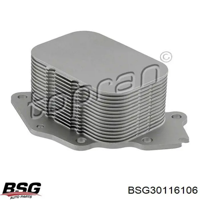 BSG30116106 BSG radiador de óleo (frigorífico, debaixo de filtro)