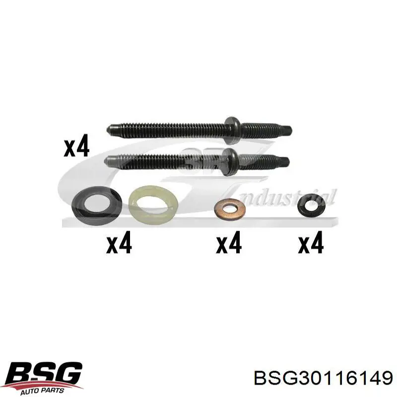 Кольцо (шайба) форсунки инжектора посадочное BSG BSG30116149