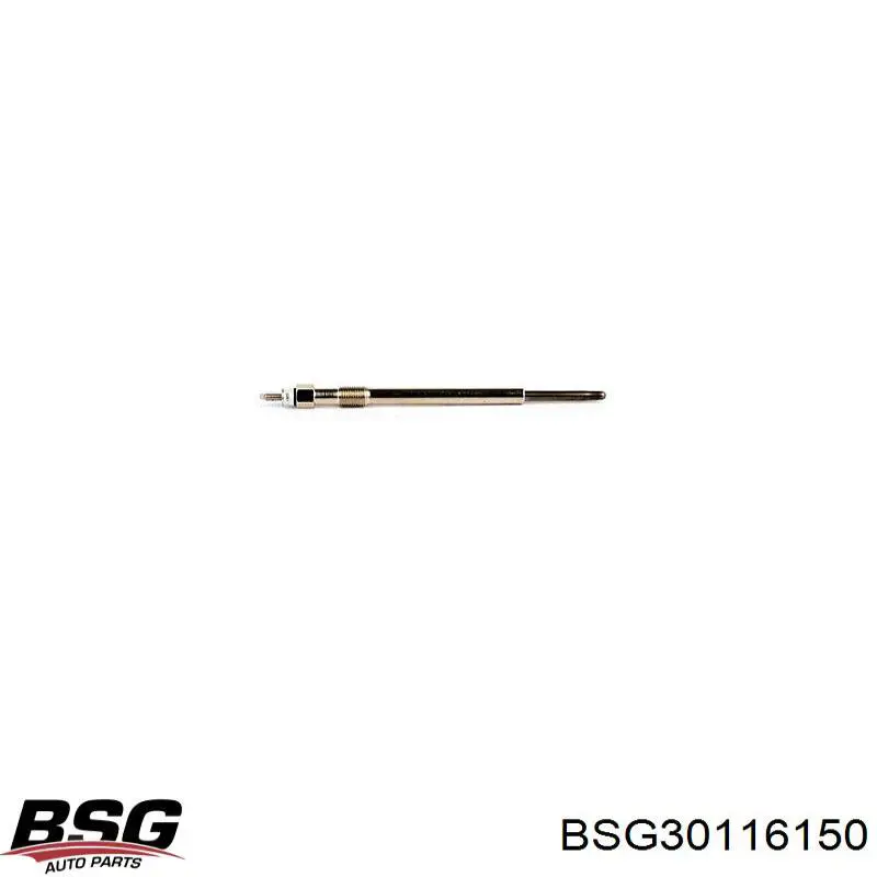 BSG 30-116-150 BSG кольцо (шайба форсунки инжектора посадочное)