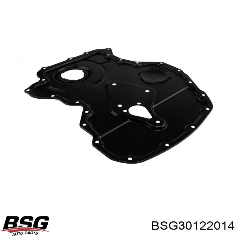 BSG30122014 BSG tampa de motor dianteira