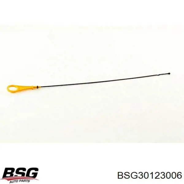BSG30123006 BSG