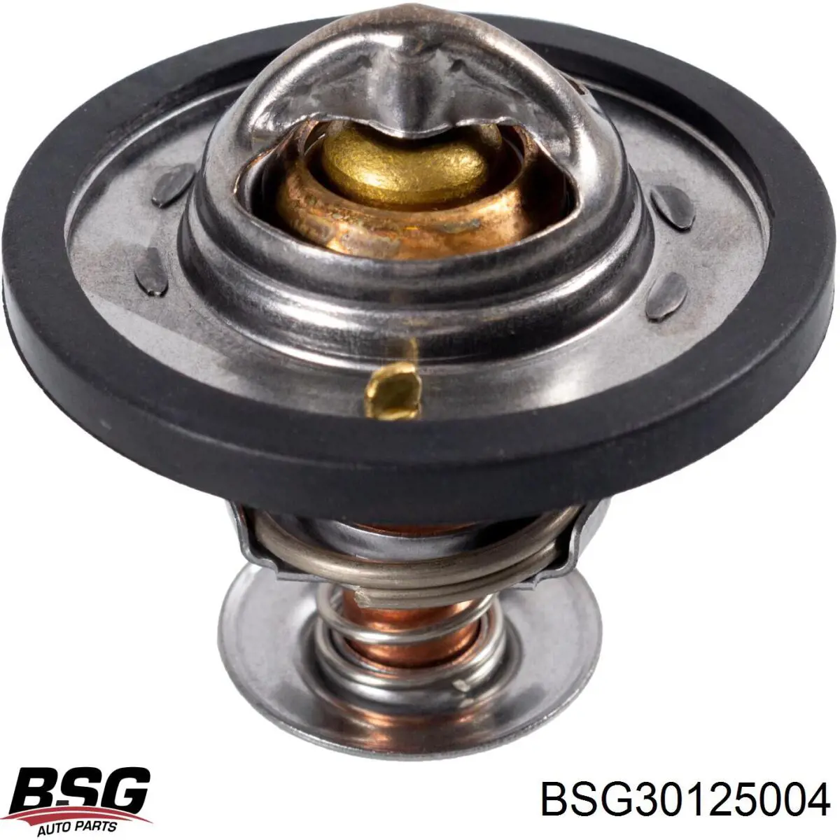 BSG 30-125-004 BSG термостат