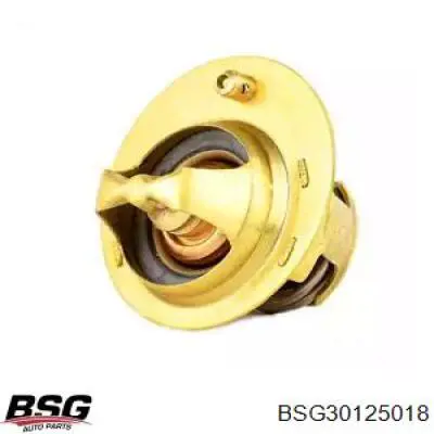 Термостат BSG BSG30125018
