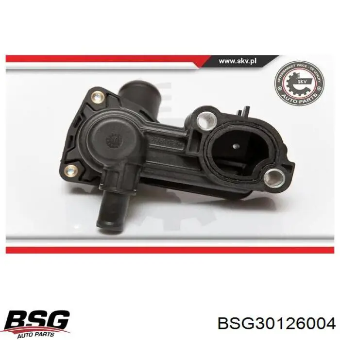 Термостат в сборе BSG BSG30126004