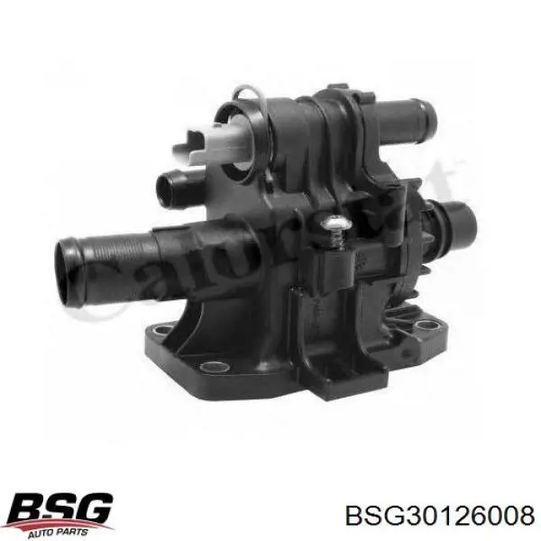 BSG 30-126-008 BSG термостат