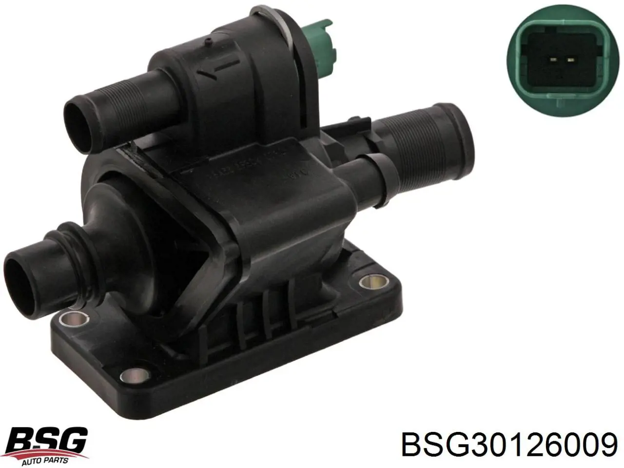 bsg30-126-009 BSG термостат