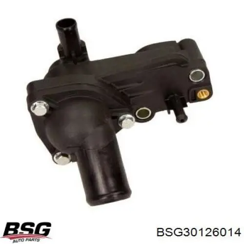 BSG30126014 BSG крышка термостата