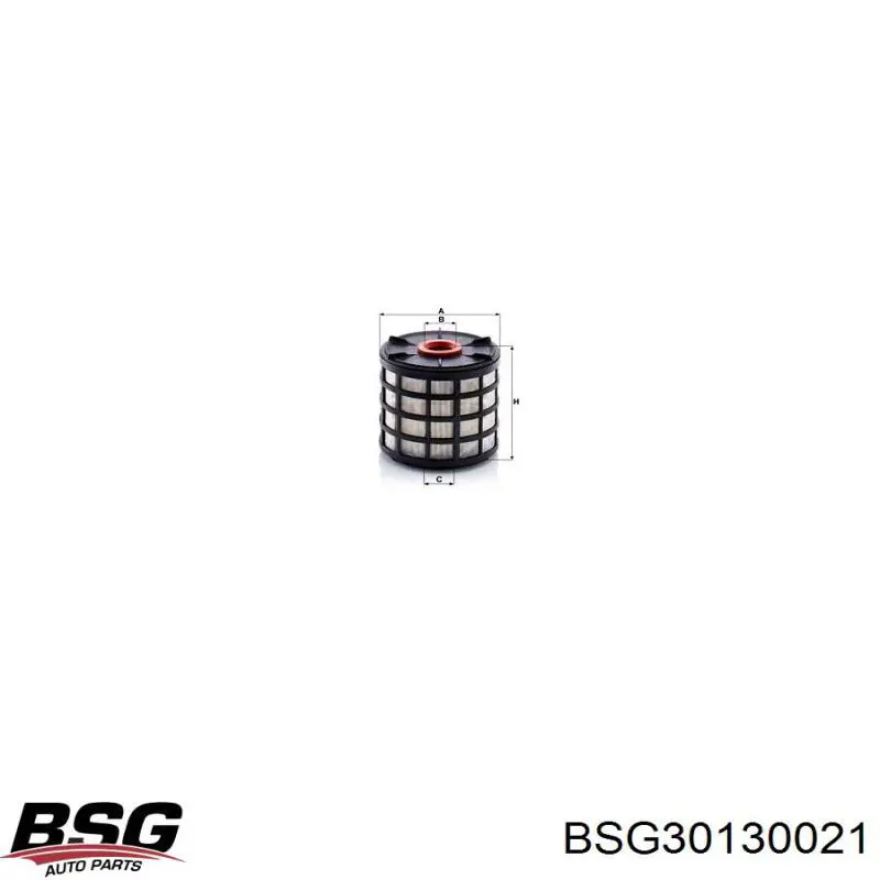 BSG30130021 BSG 