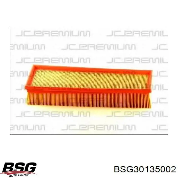 BSG 30-135-002 BSG воздушный фильтр
