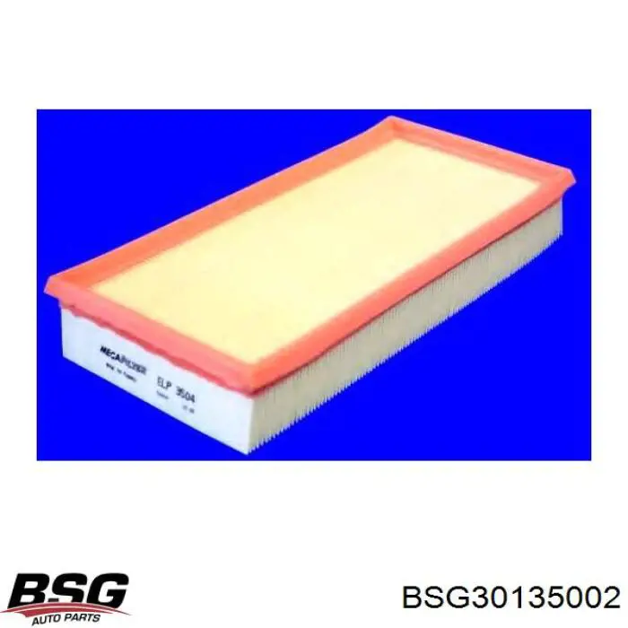 Воздушный фильтр BSG30135002 BSG