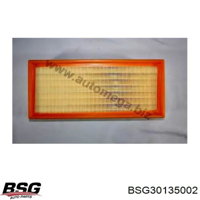 Filtro de aire BSG30135002 BSG