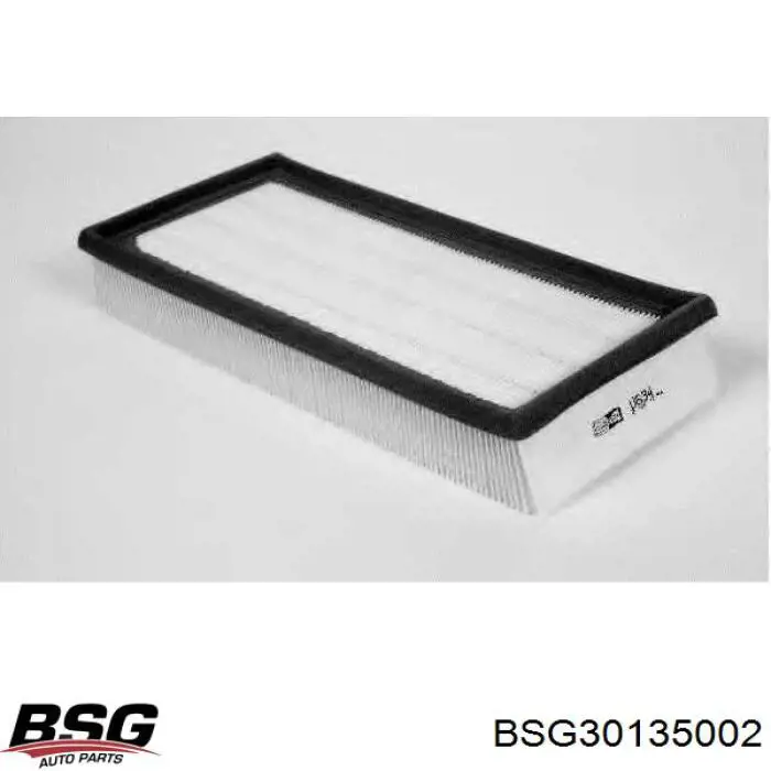 Купить BSG30135002 BSG Автомобильный фильтр воздуха