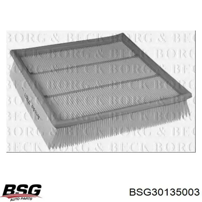 BSG30135003 BSG