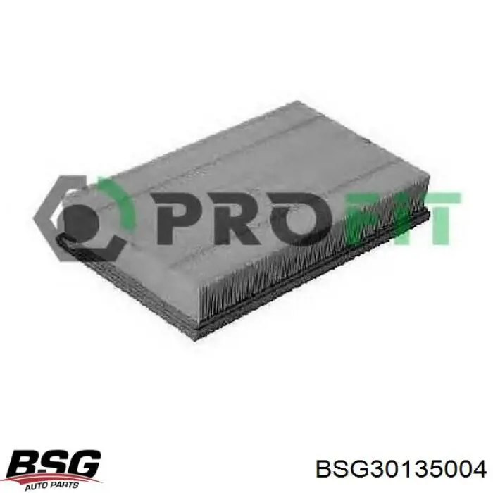 Купить BSG30135004 BSG Автомобильный фильтр воздуха