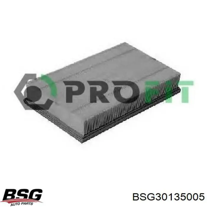 BSG 30-135-005 BSG воздушный фильтр