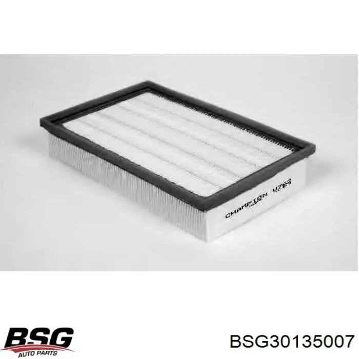 BSG30135007 BSG воздушный фильтр