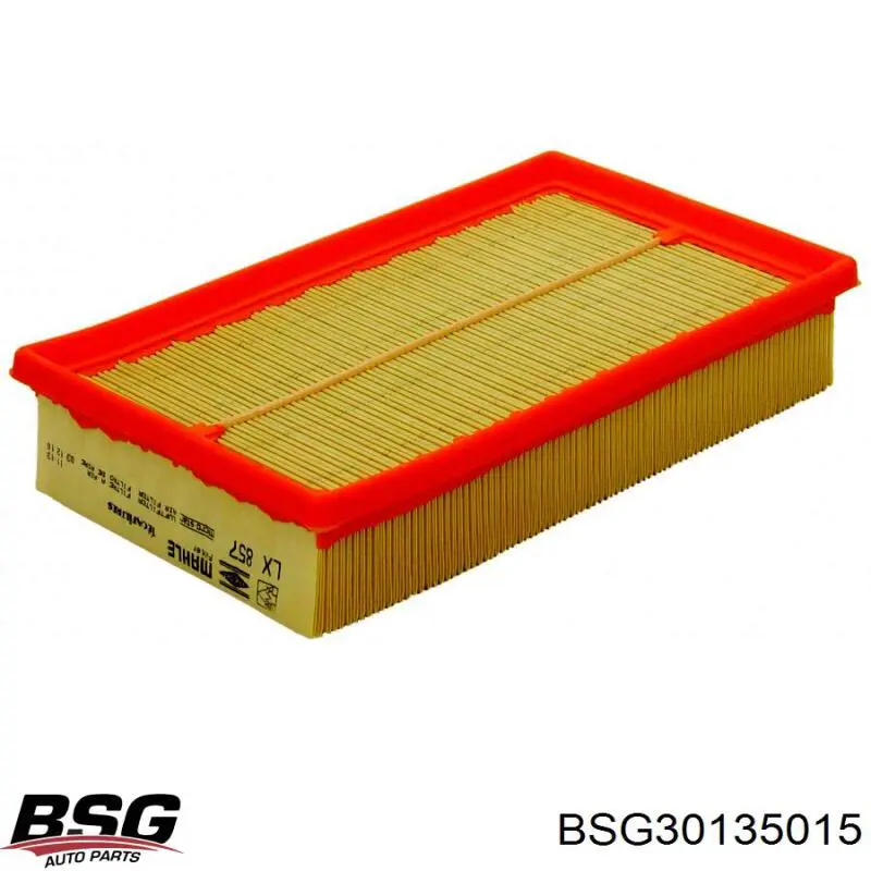 BSG 30-135-015 BSG воздушный фильтр