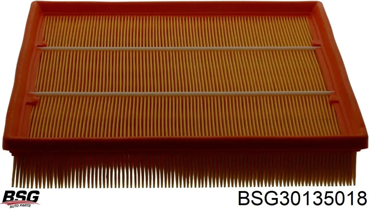 BSG 30-135-018 BSG filtro de ar