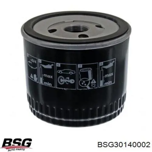 BSG30140002 BSG